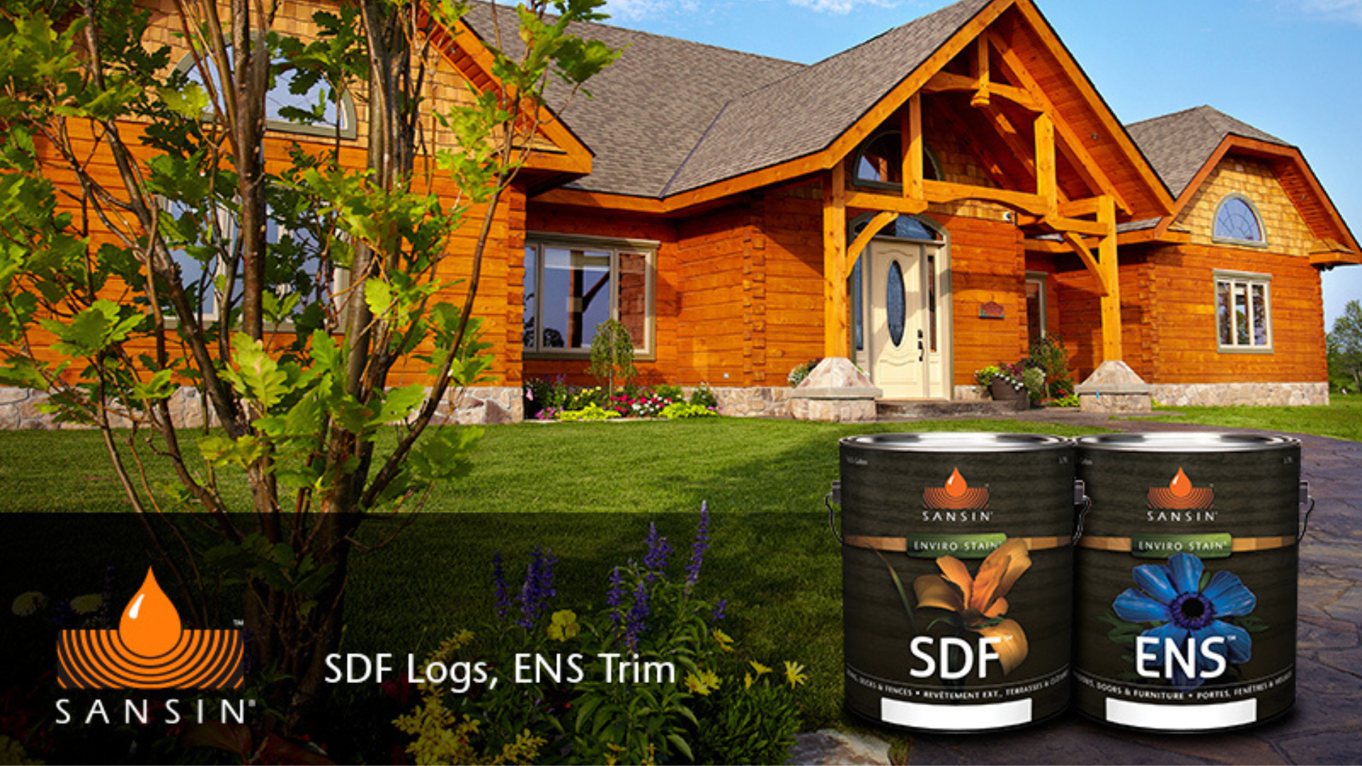 Log Cabin stain with SDF and ENS Sansin stain